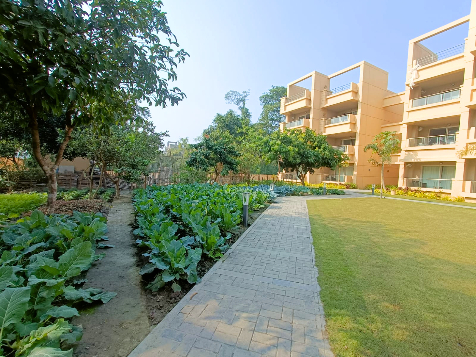 old age homes images,Jagriti Dham,old age women