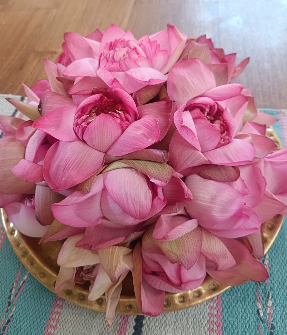A close-up of beautiful pink lotus flowers, a sacred offering for the Goddess, gathered in a traditional brass bowl during the Durga Puja celebrations.