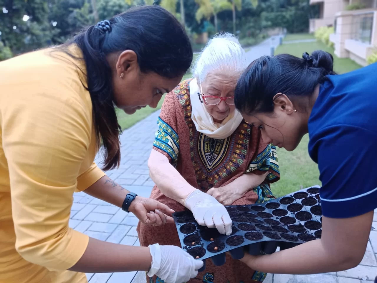 A close-up of a senior resident at Jagriti Dham carefully planting seeds in a tray, assisted by two staff members during a hands-on plantation session.