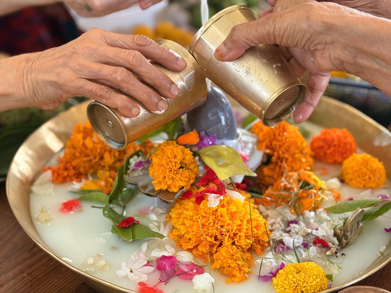 Old age home in Kolkata, Best senior living in Kolkata, Luxury senior living facilities, Retirement home in Kolkata, Premium old age home in West Bengal, Active ageing community Kolkata, Jagriti Dham, Events Feb 2026, Senior citizen retreat Kolkata, Luxurious old age home, BCC&I Cyber Security Event