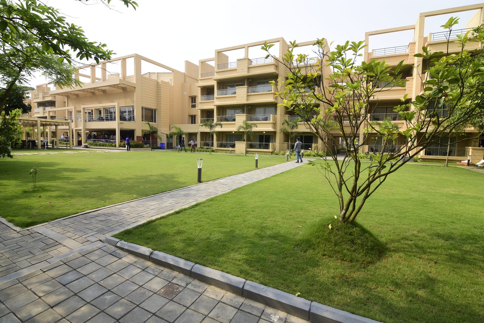 Back lawn of Jagriti Dham 